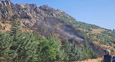 Bucak'taki orman yangını söndürüldü