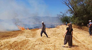 Burdur'da çıkan yangında 8 dönüm arazi zarar gördü