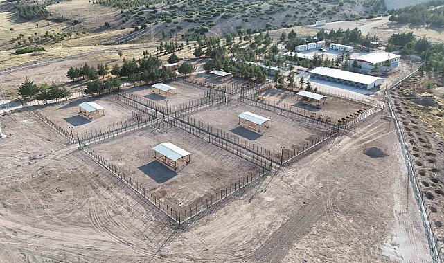 Burdur'da sahipsiz hayvanlar için modern rehabilitasyon ve doğal yaşam tesisi açıldı