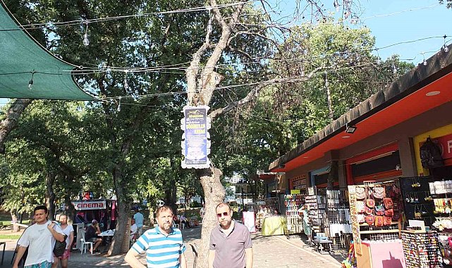 Burhaniye' de kuruyan ağaçlar tehlike saçıyor