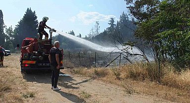 Burhaniye'de ot yangınları bitmiyor