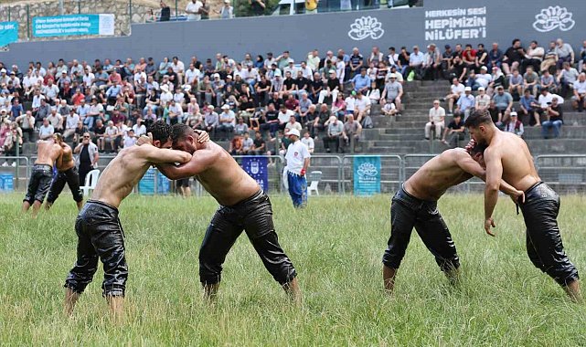 Bursa'da, 63. Tarihi Çalı Yağlı Güreşleri heyecanı