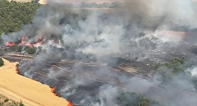Bursa'da buğday tarlaları alevlere teslim oldu