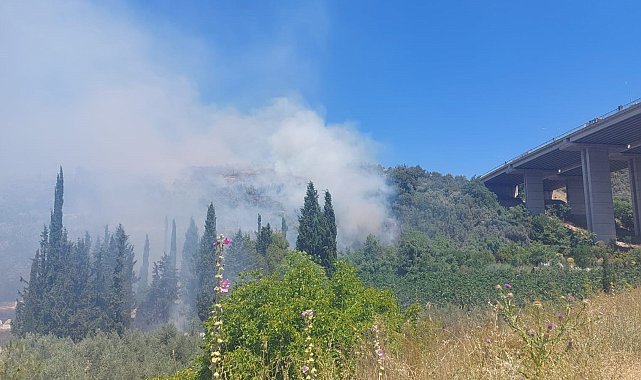 Bursa'da çam ormanı yanıyor