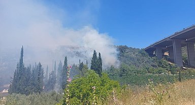 Bursa'da çam ormanı yanıyor