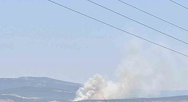Bursa'da Kayapa bölgesinde orman yangını