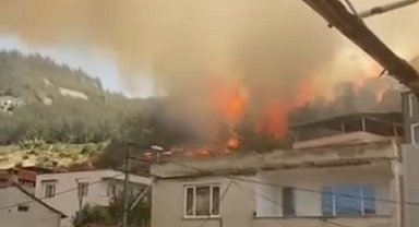 Bursa'da orman yangını kontrol altına alındı