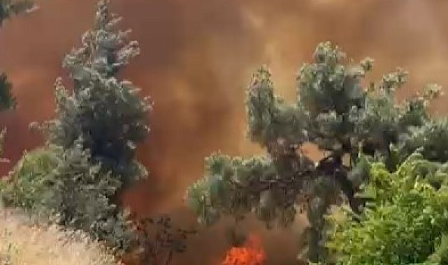 Bursa'da orman yangını köydeki evlere sıçradı...Büyük panik yaşanıyor