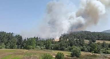 Bursa'da orman yangını: Taş ocakları mevkiindeki yangına karadan ve havadan müdahale