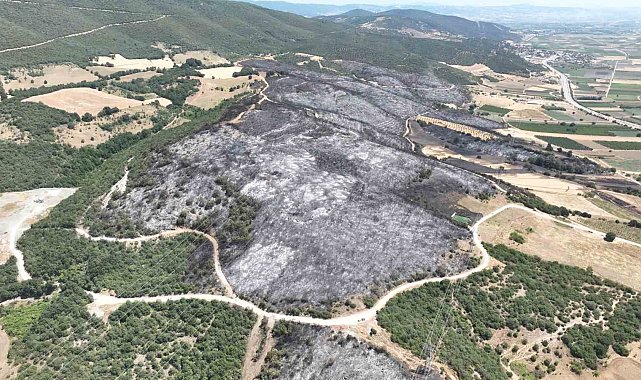 Bursa'daki yangınlarda 65 hektar küle döndü