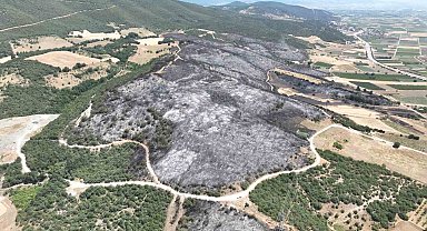 Bursa'daki yangınlarda 65 hektar küle döndü