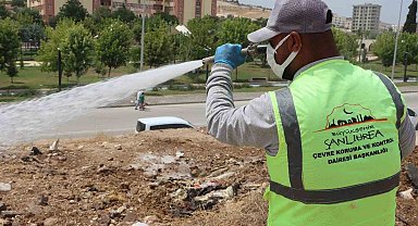 Büyükşehir belediyesinden ilaçlama seferberliği