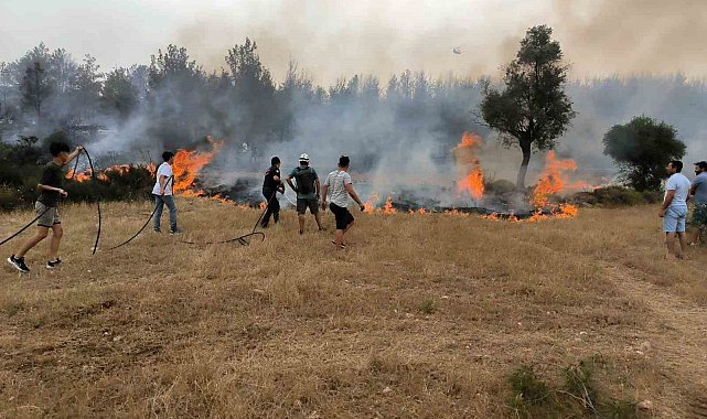Büyükşehir itfaiye ekipleri 6 ayda 380 anız yangınına müdahale etti