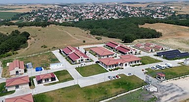 Büyükşehir sahipsiz hayvanlara umut oluyor