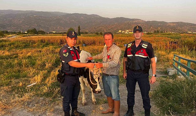 Çalınan hayvanı jandarma bularak sahibine teslim etti
