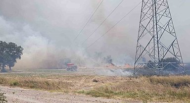 Çan'da tarım arazisinde çıkan yangın kontrol altına alındı