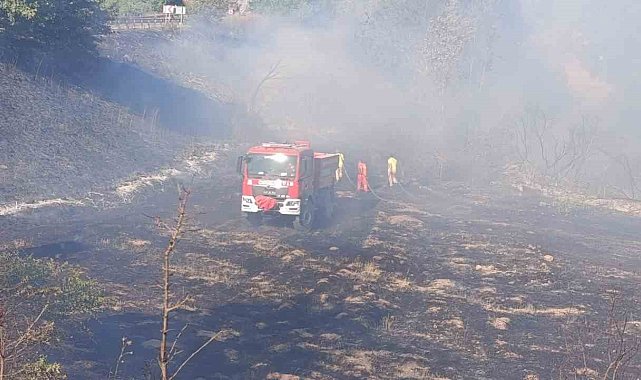 Çan'da tarım arazisinde yangın çıktı