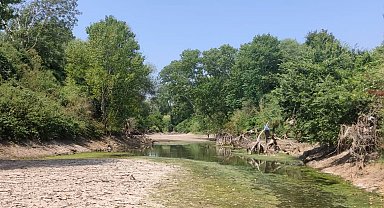 Çanakkale'de kuraklık çayı vurdu, çok sayıda balık öldü