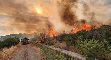 Çanakkale'de otluk alanda yangın