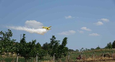 Çanakkale'de tarım arazisinde başlayan yangın ormanlık alana sıçradı