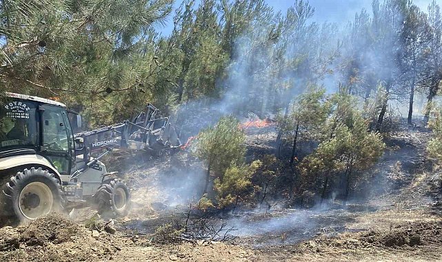 Çanakkale'de tarım arazisinde başlayan yangın ormanlık alana sıçradı