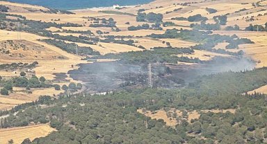 Çanakkale'de tarım arazisinde başlayıp ormana sıçrayan yangın kontrol altına alındı