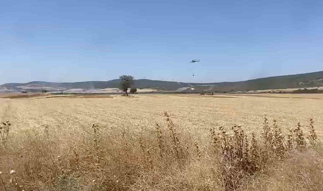 Çanakkale'de tarım arazisinde çıkan yangın kontrol altına alındı