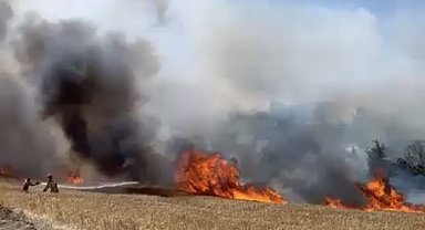 Çanakkale'de tarım arazisinde yangın çıktı