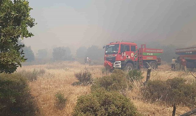 Çanakkale'de tarım arazisinde yangın
