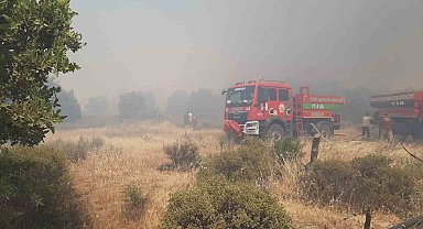 Çanakkale'de tarım arazisinde yangın