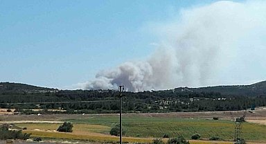 Çanakkale'de tarım arazisinde yangın