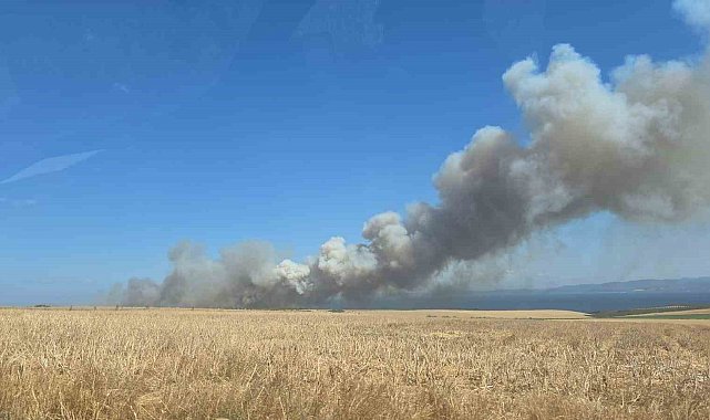 Çanakkale'de yangında yaklaşık 100 dönümlük alan zarar gördü
