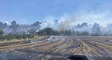 Çanakkale'deki orman yangını kontrol altına alındı