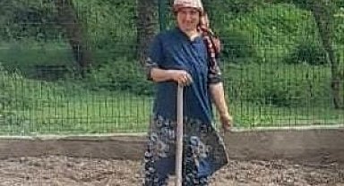 Çankırı'da kene can aldı