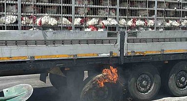 Canlı tavuk dolu tırda yangın paniği