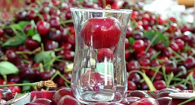 Çay bardağına sığmayan Lapseki kirazında hasat başladı