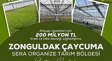 Çaycuma'da Sera Organize Tarım Bölgesi Üretime Başladı