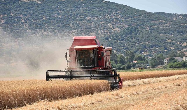 Çiftçilerden hayvan üreticilerine kritik uyarı: "Elinizi Çabuk Tutun"