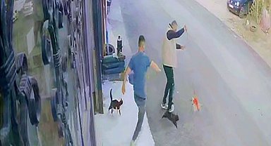 Çılgın kedilerin saldırısı güvenlik kamerasında