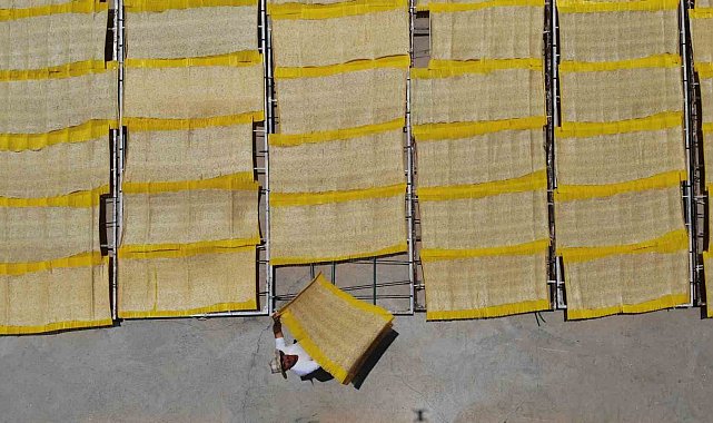 Cips olup Avrupa sofralarına da giren tarhana yılda 25 bin ton üretiliyor