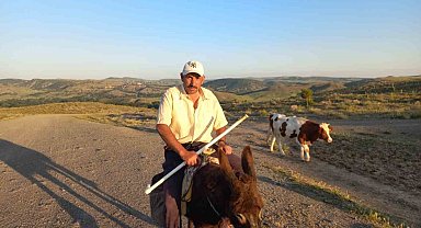 Çobanlık kıymete bindi