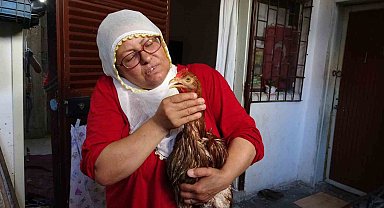 Çocuk gibi ağlayan tavuğunu kesmeye kıyamadı, iyileşmesi için veteriner aramaya başladı