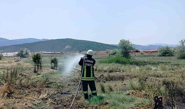 Çorum'da korkutan arazi yangını