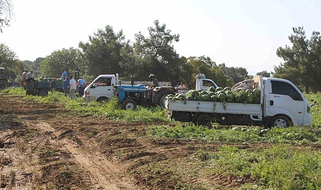 Çukurova'dan sonra Türkiye'nin gözü burada