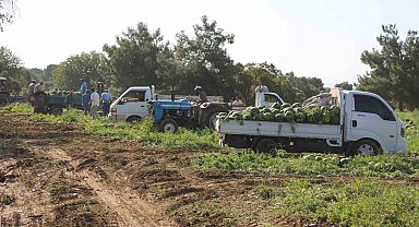 Çukurova'dan sonra Türkiye'nin gözü burada