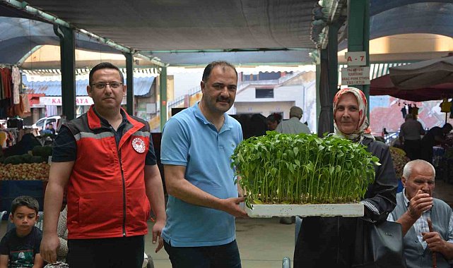 Demircili çiftçilere 40 bin ücretsiz sebze fidesi dağıtıldı