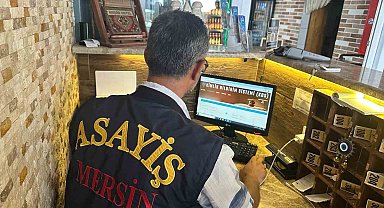 Deniz sezonu başladı, günübirlik evler denetime alındı: 476 bin TL ceza kesildi