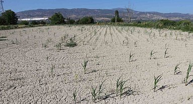 Denizli DESKİ'den su kullanan çiftçinin 5 bin dönüme ektiği mahsulleri kurudu