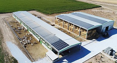 Denizli tarımına 87.4 milyonluk destek