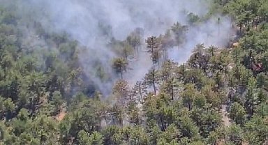 Denizli'de orman yangınına havadan ve karadan müdahale ediliyor